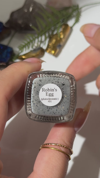 ROBIN'S EGG (matte photochromatic)
