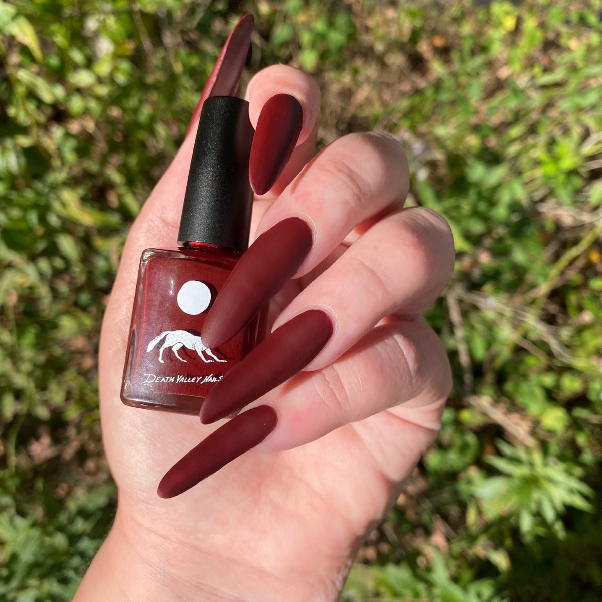 THE SHORT END OF THE FANG (matte)