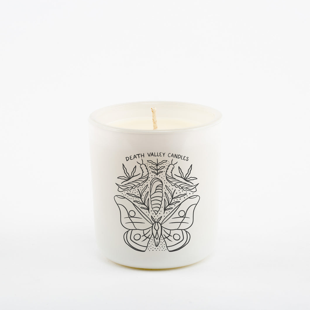 The Moth Metamorphosis Candle - White Vessel